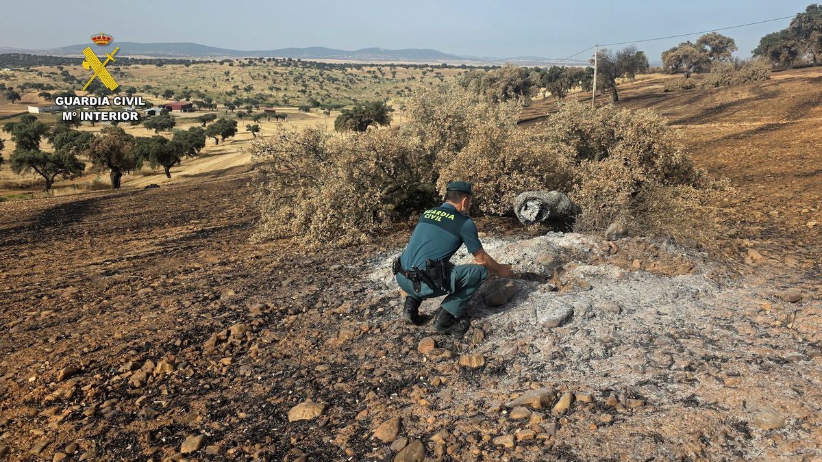 El Seprona localiza a un agricultor que provocó un incendio forestal en la provincia de Córdoba