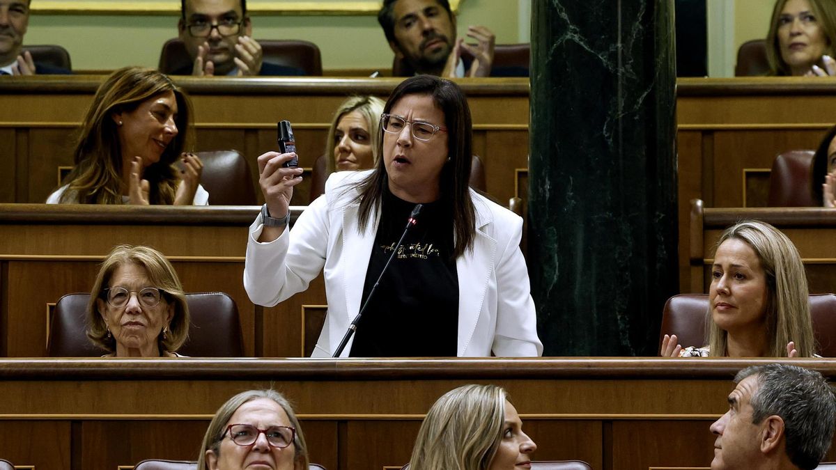 Una diputada del PP introduce un spray de pimienta en el Congreso y fuerza una bronca con Armengol