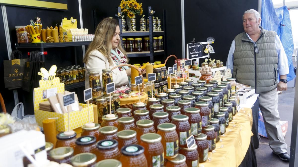 Expomiel arranca con el grito del sector: "La apicultura vive su peor momento"
