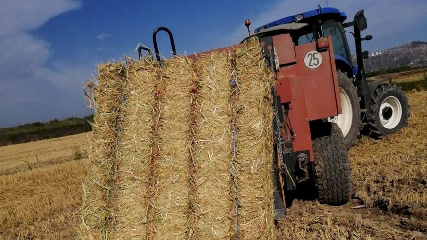 Los presupuestos del Ministerio para 2022 apuestan por el relevo generacional, el apoyo a las mujeres y la transformación digital agroalimentaria