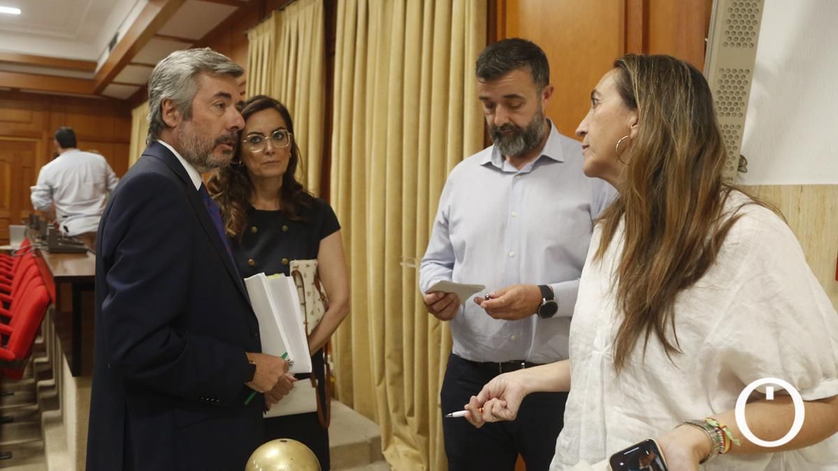 Pleno Extraordinario organizativo