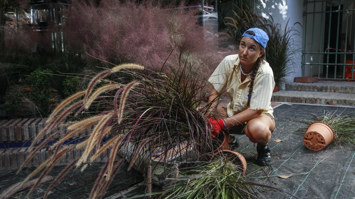 Comienzo del montaje de Flora 2025