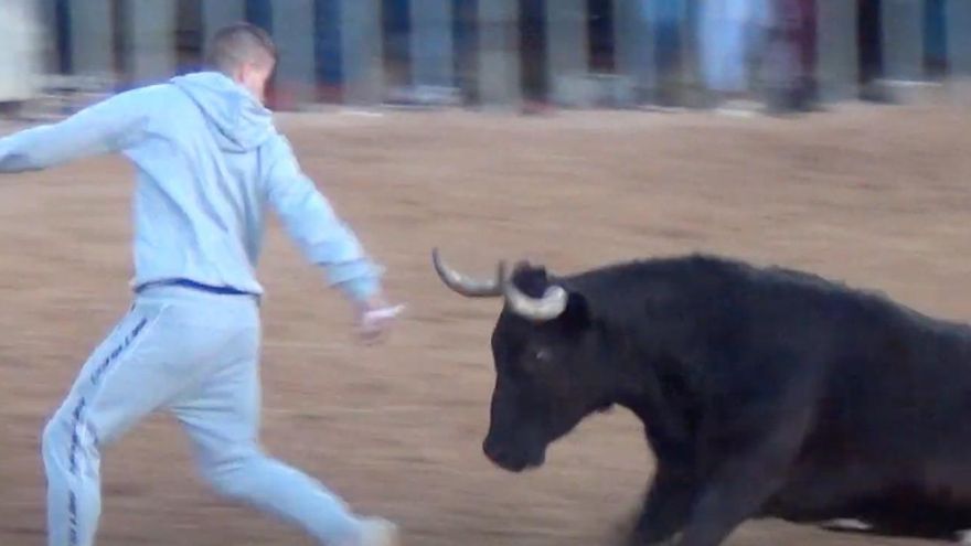 El Consell impone una sanción muy grave con multa de 90.000 euros a una ganadería de toros bravos y le prohíbe ejercer durante cuatro años