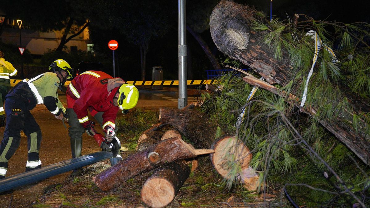 Continúan los avisos naranjas por el temporal en Andalucía y Málaga registra inundaciones por las fuertes lluvias