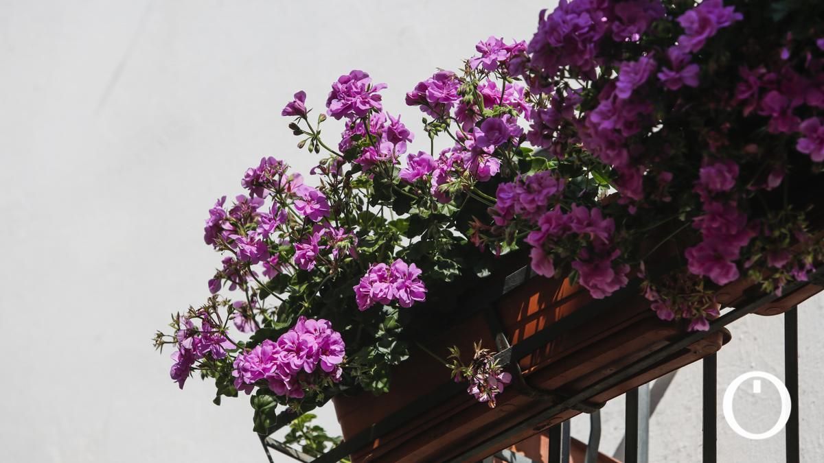 Rejas y Balcones en la C/ Cidros, 7