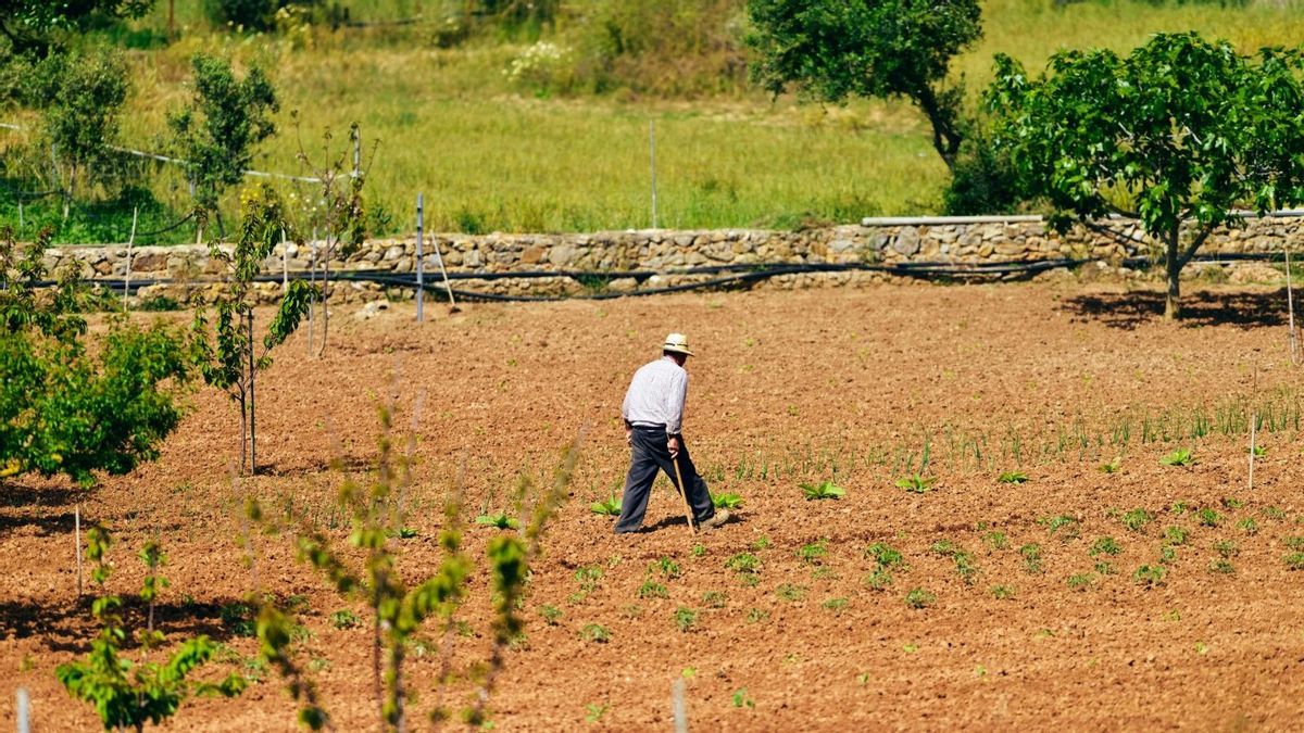 El campo aragonés pierde cinco agricultores y ganaderos a la semana: "En estas condiciones no compensaba seguir"
