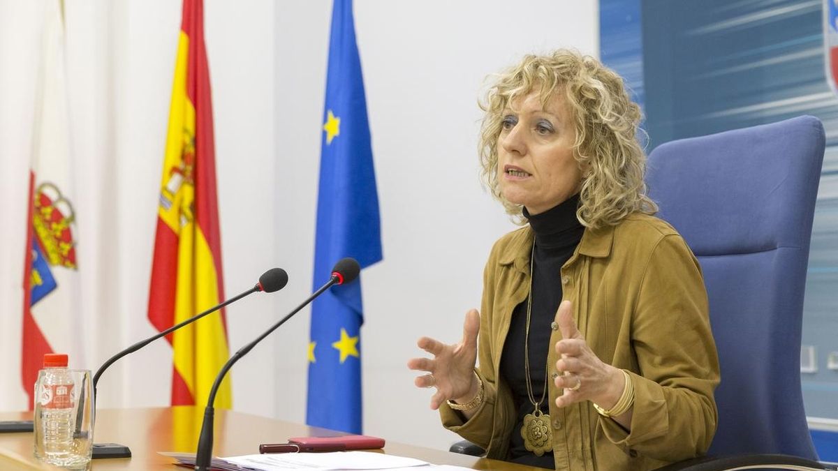 La vicepresidenta y consejera de Política Social, Eva Díaz Tezanos, ha presentado el programa de ayudas.
