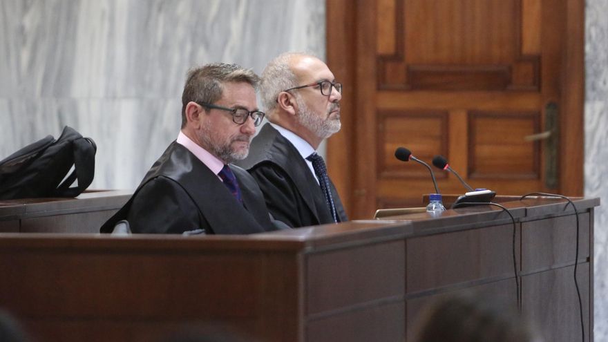 La fiscal del Supremo ante el caso Alba: “El contenido de la grabación sonroja”