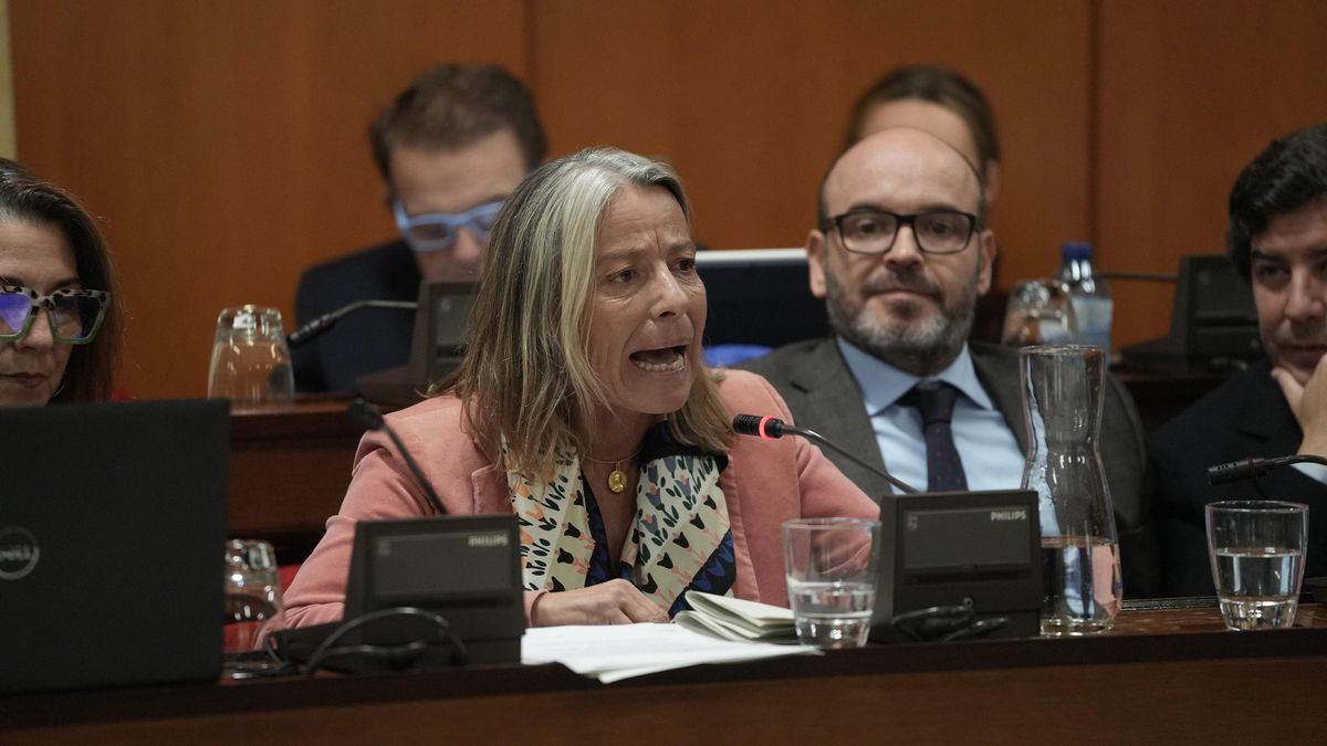 El Pleno aprueba el Plan de Subvenciones del IMAE con críticas por ayudas a promotoras privadas