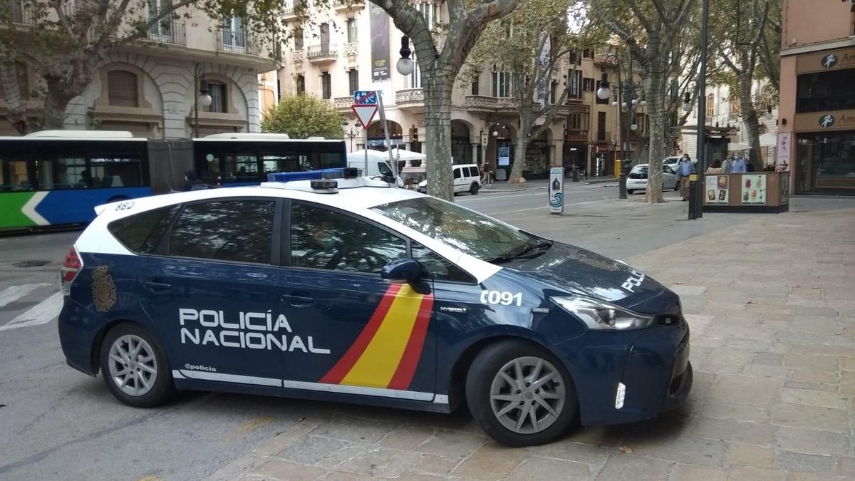 Tres detinguts per agredir sexualment i físicament una dona que va rebutjar el seu intent de lligar amb ella a Palma