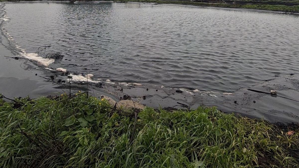El Seprona investiga a una empresa y a dos de sus responsables por contaminar terrenos y agua subterránea en Villa del Río