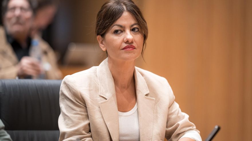 Juventud e Infancia plantea quitar la patria potestad a todos los padres condenados por violencia de género