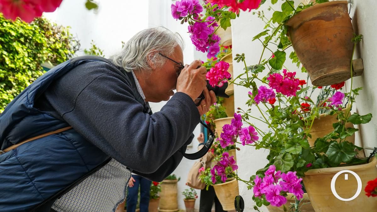 Los patios del Palacio de Viana, abiertos de par en par