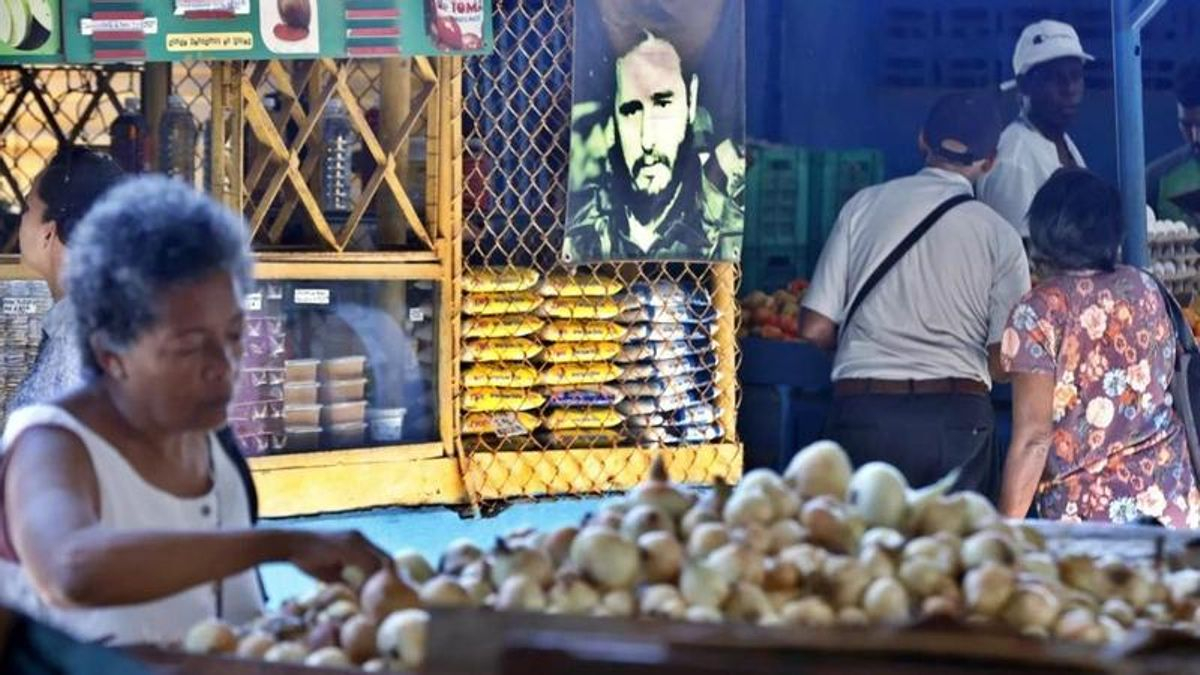 Canarias no puede enviar alimentos ni medicamentos a Cuba por el "bloqueo total" y busca nuevas vías para mantener la ayuda