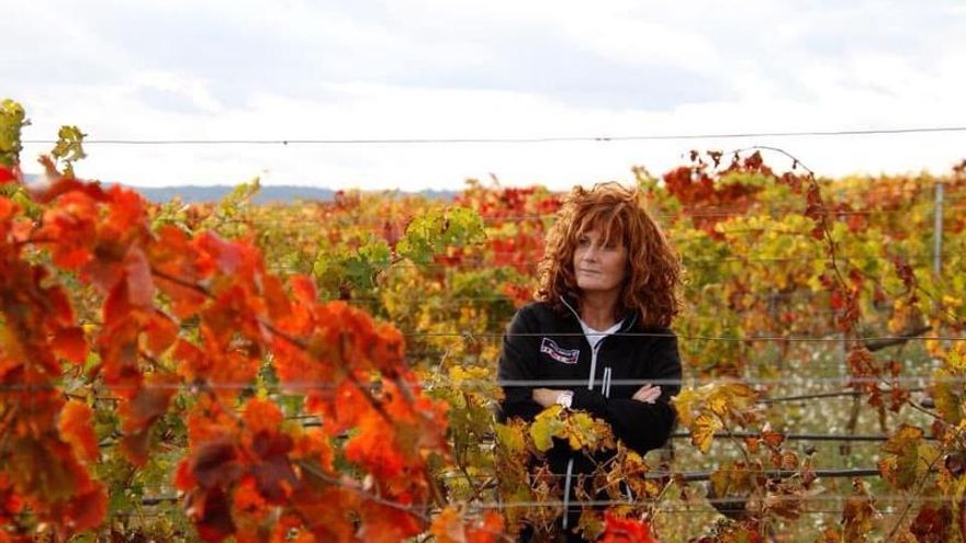 Los aranceles en el mayor viñedo del mundo: “El consumidor medio y los jóvenes van a irse a vinos más baratos”