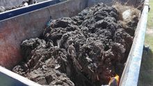 Un contenedor repleto de toallitas húmedas sacadas de los desagües de València