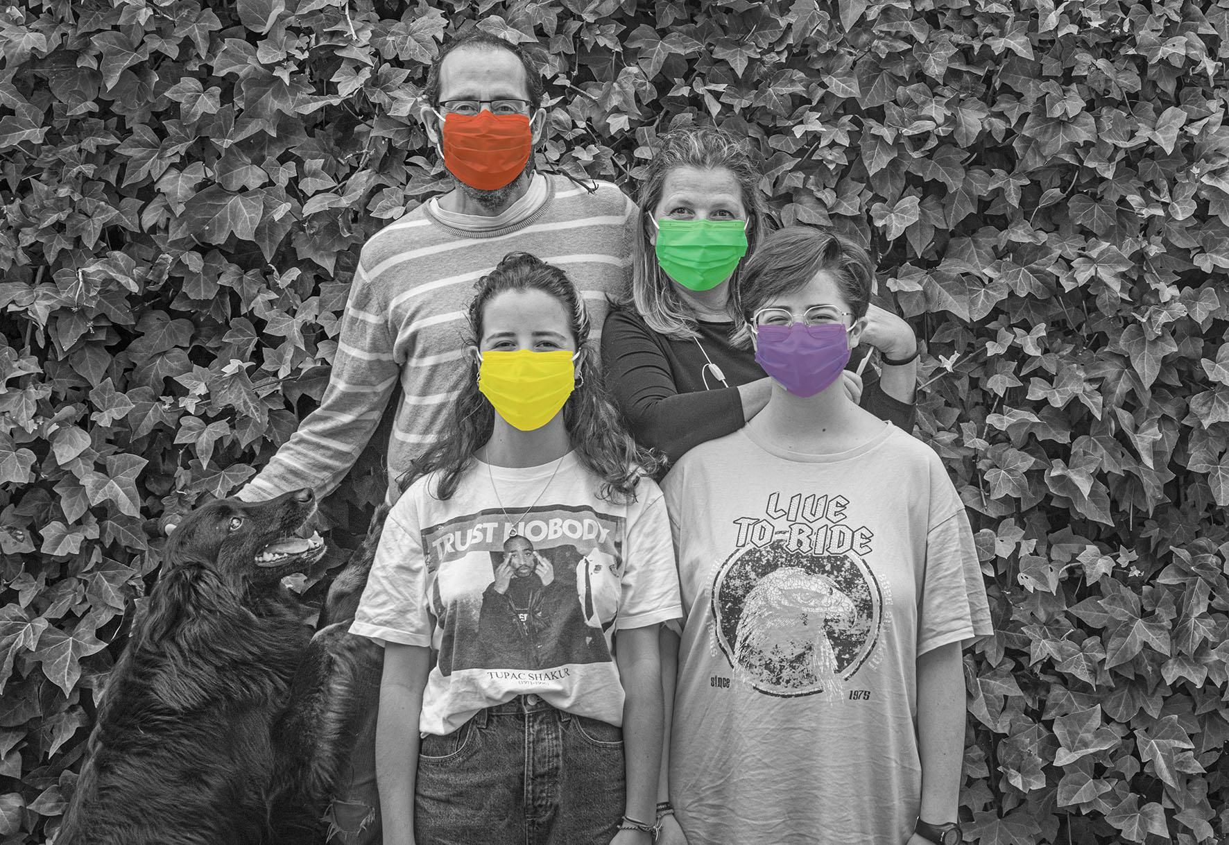Familia Rosales Bergasa, Santa Brígida
