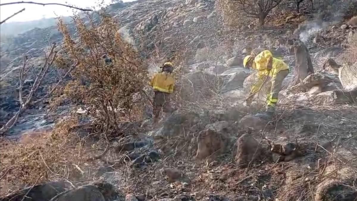 Bomberos cordobeses en el incendio de Jarilla: "Hay vecinos que se han sentido muy solos"
