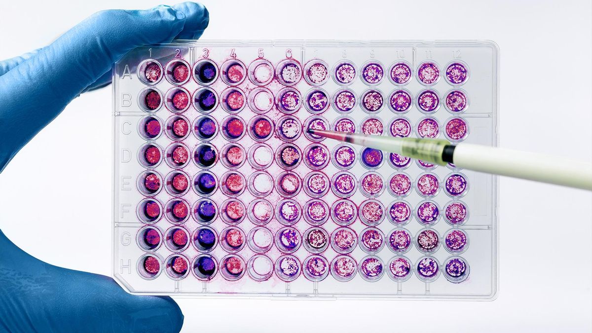 Portada Reportaje Quirónsalud | Investigación clínica: el camino hacia los tratamientos que salvan vidas