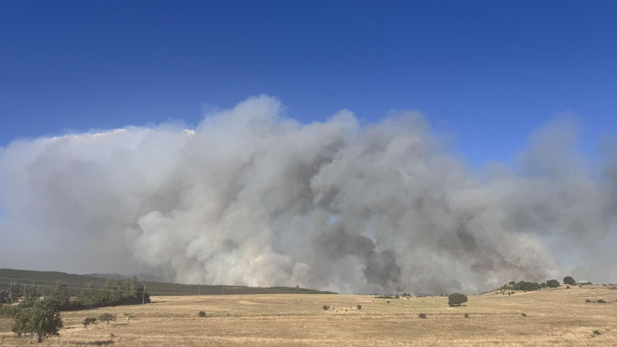 El incendio de La Mierla desde Tamajón, a las 20 horas del 16 de julio de 2026