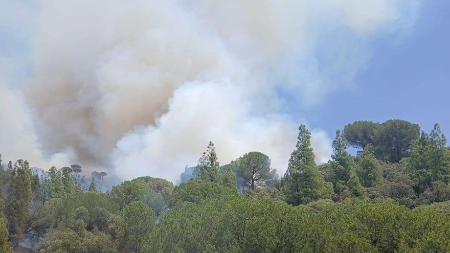 Incendio forestal en un paraje de Cerro Muriano, en Córdoba, junto a la carretera N-432.