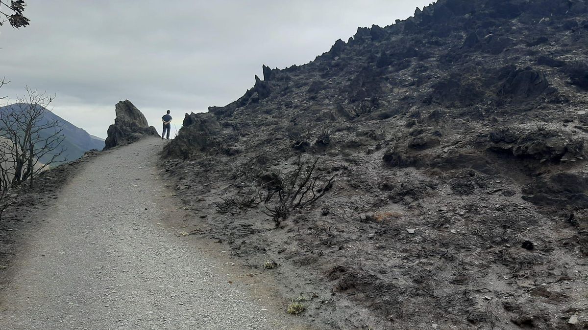 El Bierzo, arrasado por las llamas.