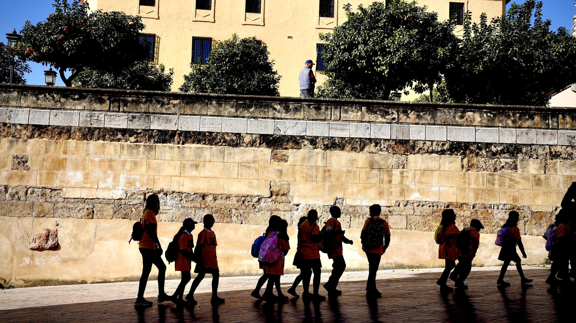 Córdoba abraza la Mezquita Catedral por las enfermedades raras