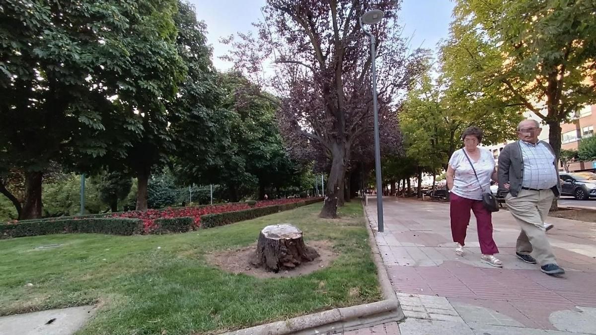 Parque y Paseo de La Condesa, icónico en la ciudad de León.