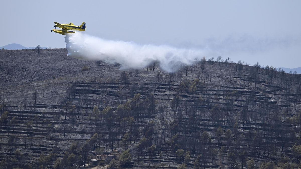 Estabilizado el incendio forestal de Soneja, en Castellón, tras arrasar 183 hectáreas
