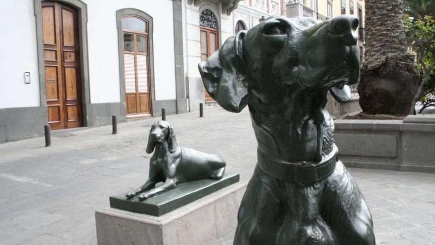 Podemos pide medidas para combatir la discriminación por acento y "dignificar" todas las variedades del español