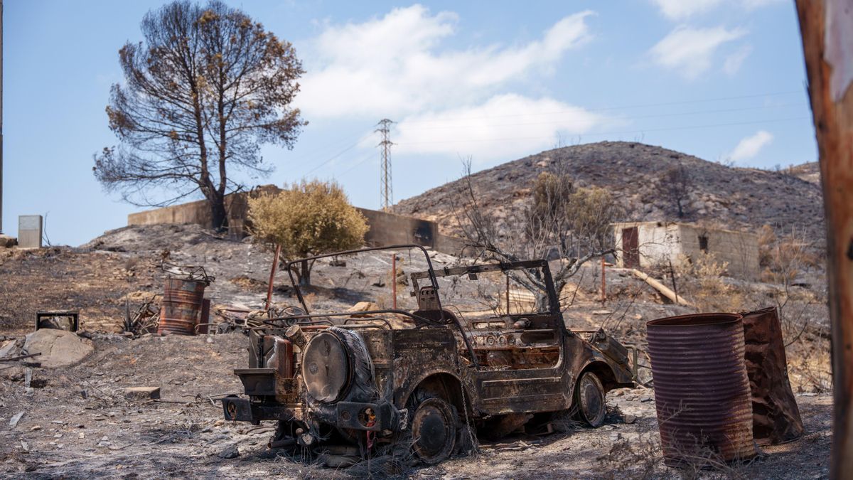 Imágenes de la zona afectada por el incendio de Los Gallardos, este domingo en Almería.