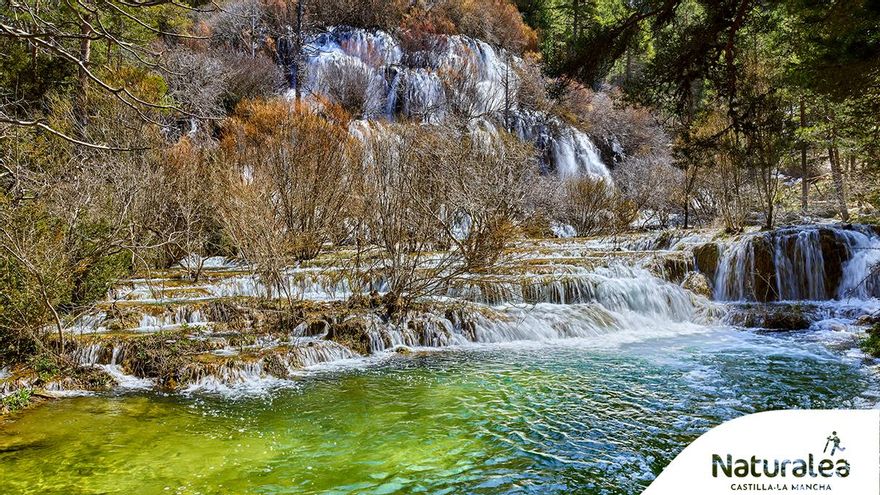 Nacimiento Río Cuervo