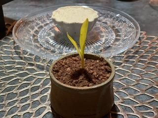 Chocolate y millo, huevos moles