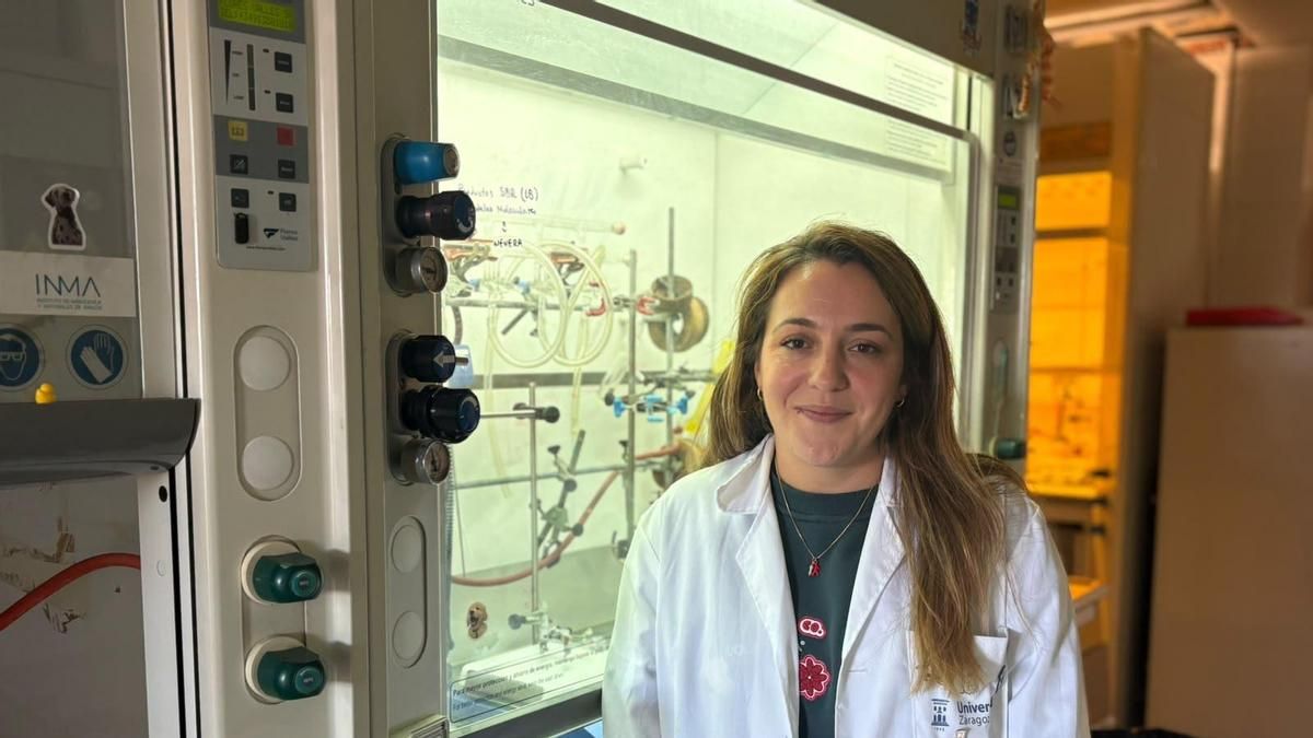 Una investigación en Zaragoza explora nuevos materiales inteligentes a partir de moléculas que se organizan por sí mismas
