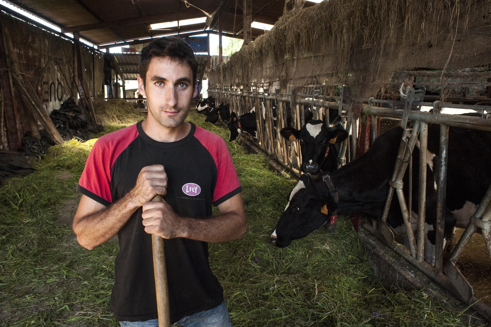 David Cuevas, de 28 años, tiene una vaquería familiar en Mogro. | JOAQUÍN GÓMEZ SASTRE