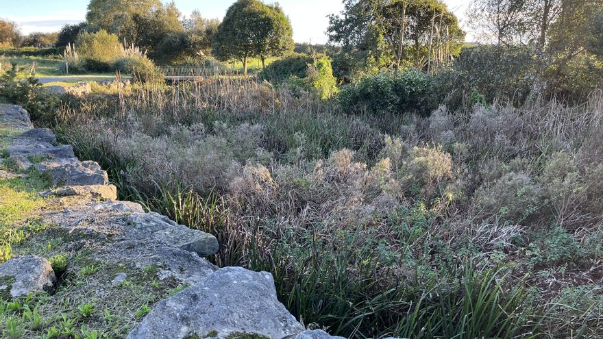 El molino harinero de El Ronzón entra en la Lista Roja por su "completo abandono"