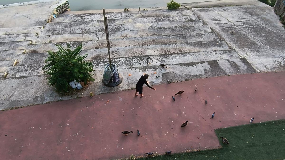 Mujer dando de comer a palomas y patos junto al Ebro.