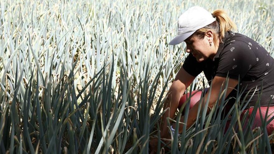 Extremadura es la comunidad autónoma donde más han crecido los contratos indefinidos en el último año