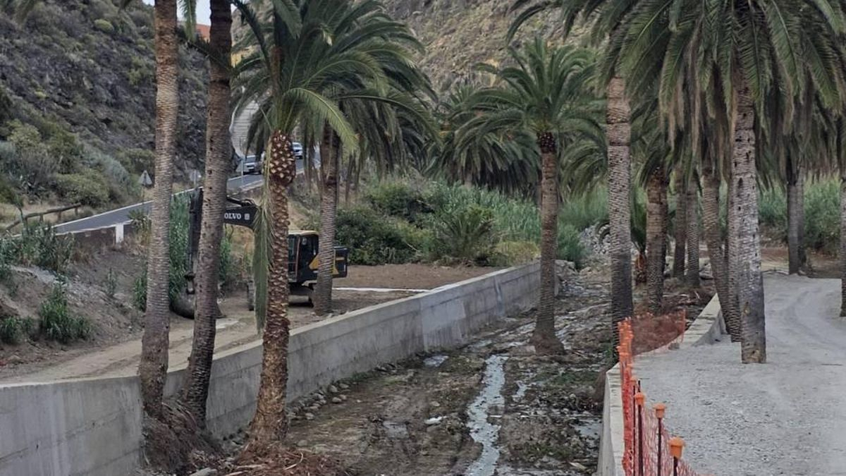 Hormigonar palmeras como modelo urbanístico: “Canarias lleva 50 años de turbo desarrollo y tiene que regenerar ciclos”