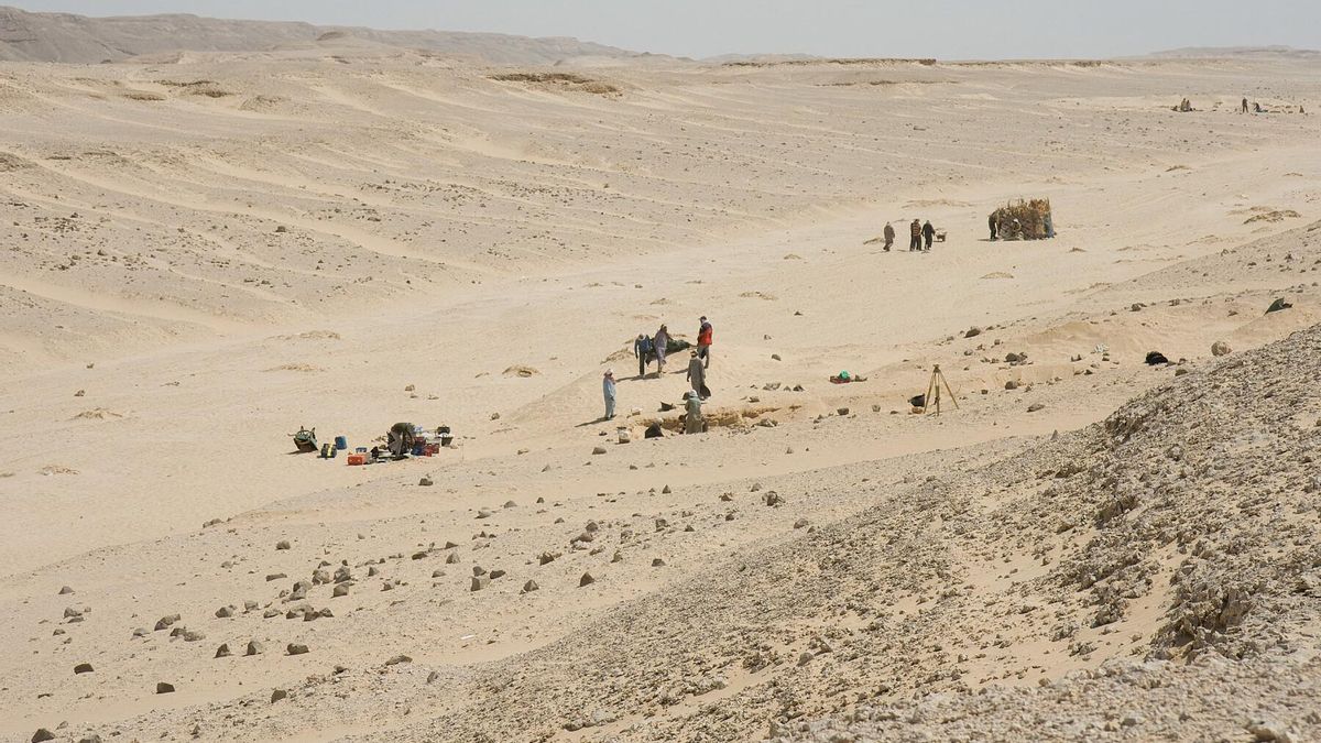 ¿Una epidemia en la ciudad de Akhenatón? El nuevo estudio que desmonta el mito de la “peste de Amarna”