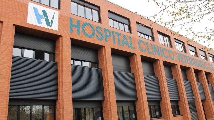 La Universidad de León asegura que la clínica equina del Hospital Veterinario “funciona con normalidad”