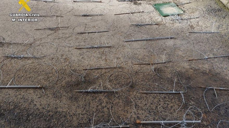 Investigan a una persona por instalar lazos ilegales en un paraje de importancia para águila imperial y buitre negro