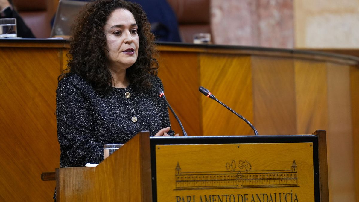 Inmaculada Nieto, portavoz de Por Andalucía.