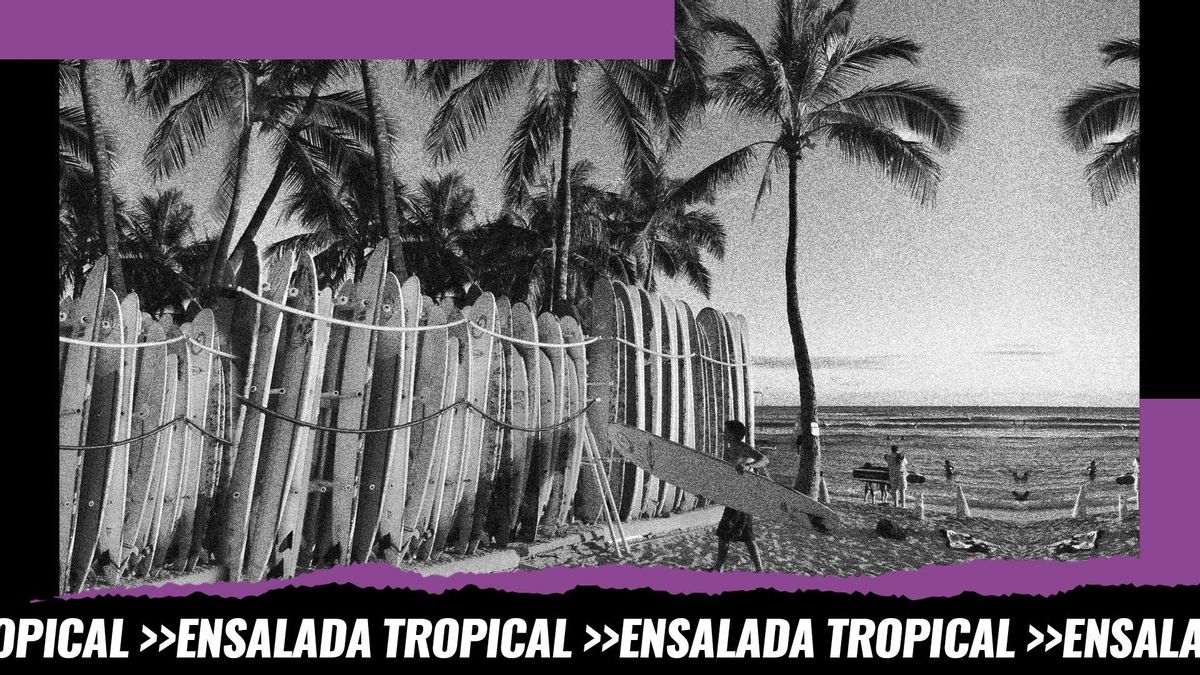 Foto de archivo de una playa de Hawái con surfistas
