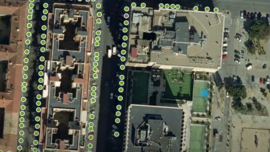 Almeida cierra la web que censaba los árboles de Madrid y que abrió en 2007 Gallardón al ser acusado de "arboricida"