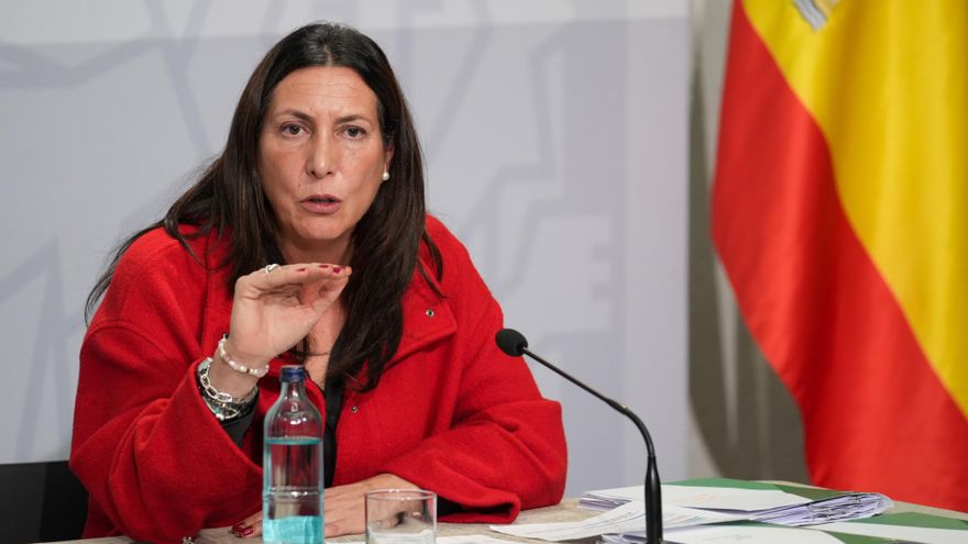 La consejera de Integración Social, Juventud, Familias e Igualdad Loles López durante la rueda de prensa posterior al  Consejo de Gobierno. A 4 de febrero de 2025, en Sevilla (Andalucía, España). El Consejo de Gobierno de la Junta de Andalucía se reúne en