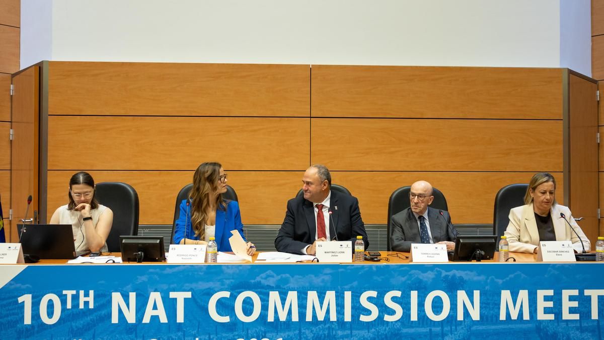 Castilla-La Mancha reclama a Europa dotar al sector vitivinícola de presupuesto suficiente para afrontar los retos futuros