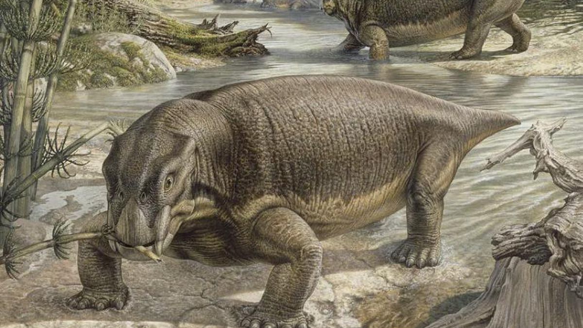 Este herbívoro logró expandirse tras una crisis global que eliminó a la mayoría de especies, en un planeta con calor extremo y largos periodos sin lluvias