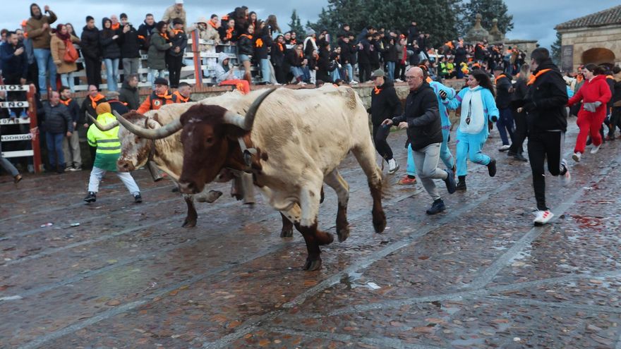 Muere un hombre de 65 años por una cornada en el Carnaval del Toro de Ciudad Rodrigo