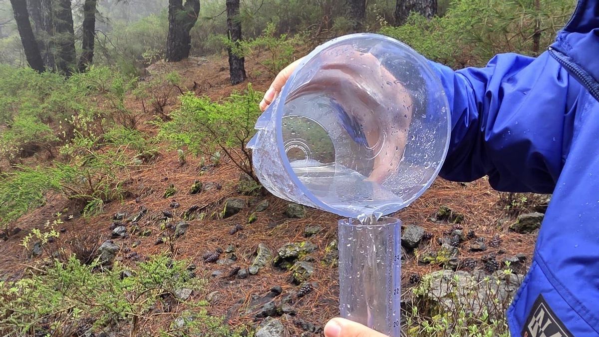 La borrasca deja en el entorno del volcán Tajogaite 375 litros